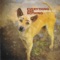 Come Morning (feat. David Sylvian) - Nicola Alesini & Pier Luigi Andreoni lyrics