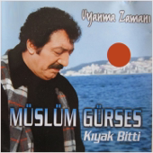Uyanma Zamanı song art
