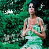 Amy Winehouse - You Know I'm No Good (feat. Ghostface Killah)