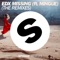 Missing (feat. Mingue) [Nytron Remix Edit] - EDX lyrics