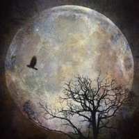 Moonlight Rouge-Hydrate, Pt. 2 - Single - J.I.