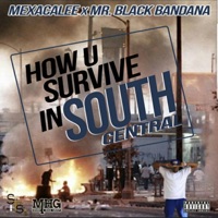 South Central (feat. Mr. Black Bandana) - Single - Mexacalee
