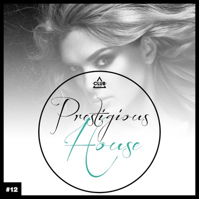 Prestigious House, Vol. 12