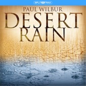Desert Rain (Split Trax) artwork