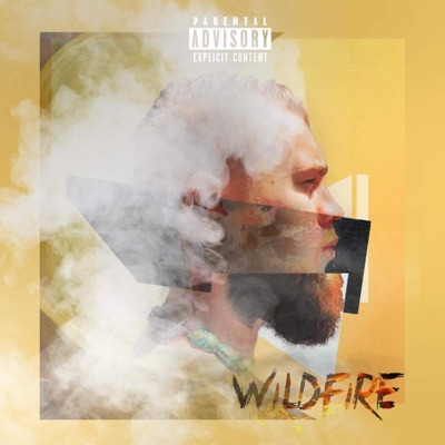 Wildfire - Single