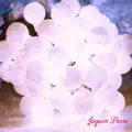 White Roses