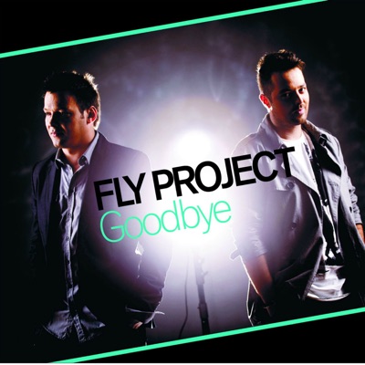 Goodbye (Radio Edit) - Fly Project | Shazam