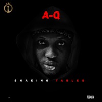 Shaking Tables - Single - A-Q