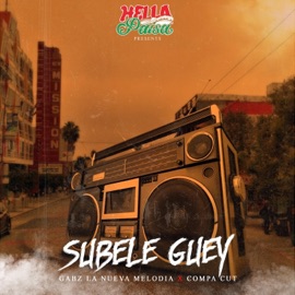 Subele Guey (feat. Gabz la Nueva Melodia) Compa Cut