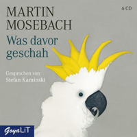 Martin Mosebach - Was davor geschah artwork