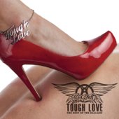 Tough Love: Best of the Ballads (International Version) - Aerosmith Cover Art