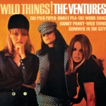 The Ventures - Wild Trip