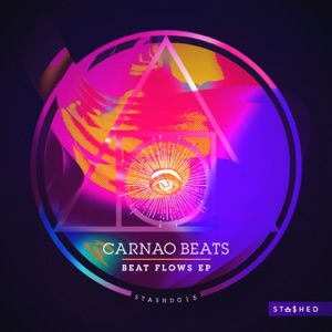 Beat Flows - Single