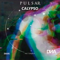 Calypso - Single - P U L S A R