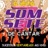 Ao Vivo: O Jeito Som Sete de Cantar