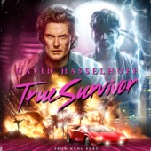 David Hasselhoff - True Survivor