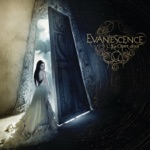 Evanescence - All That I Am Living For