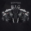 B.I.G - Single