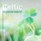 Calm Relaxing Music - Celtic Chillout Relaxation Academy lyrics