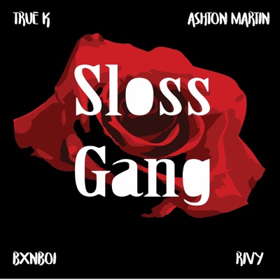 Sloss Gang (feat. True K, Ashton Martin, Rivy & Bxnboi) - Single
