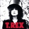 Baby Boomerang - T. Rex lyrics