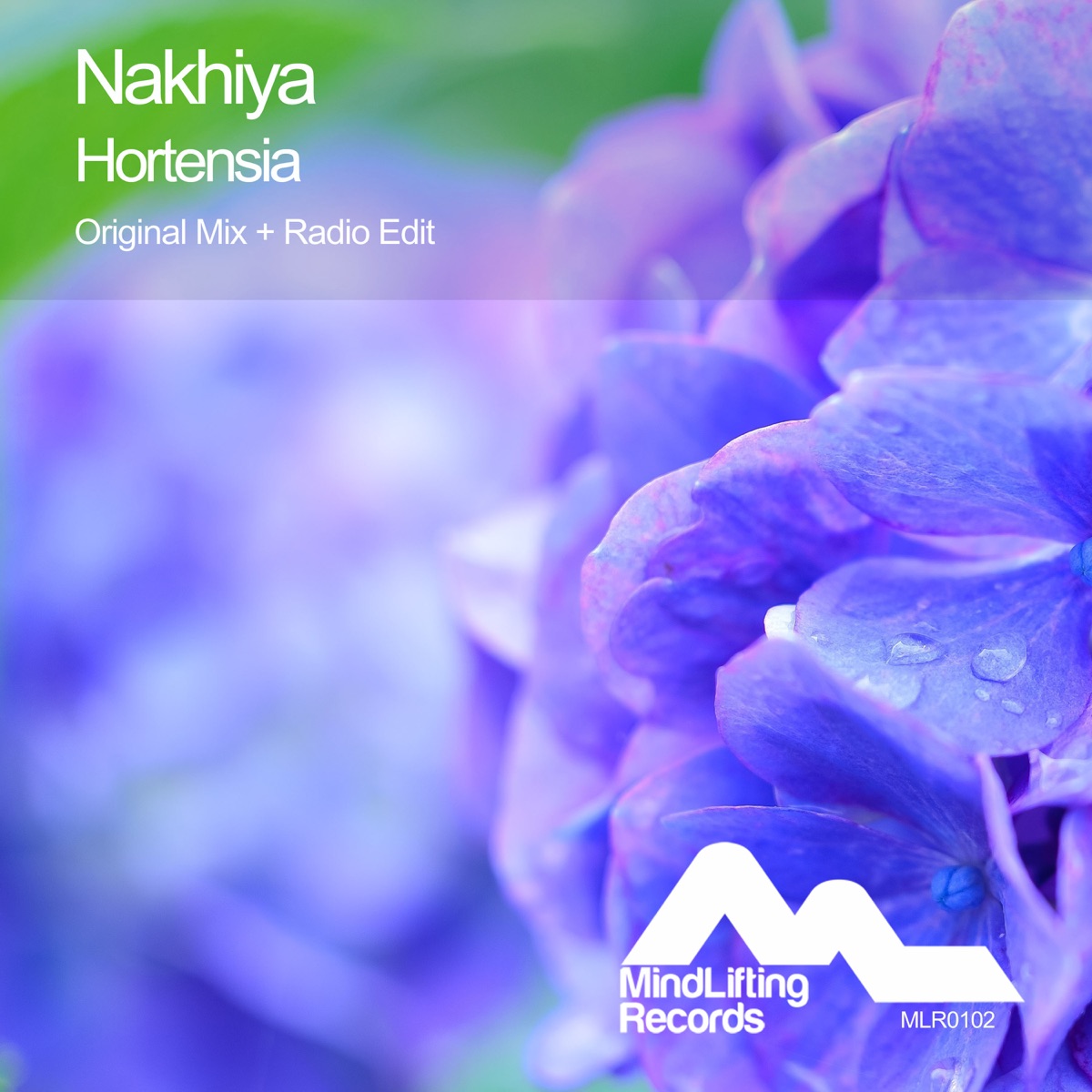Nehida - Single by Nakhiya on Apple Music