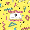 Forced Voyage - Rain Upon My Skin