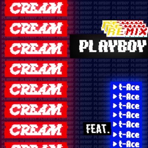 PLAYBOY Remix feat. t-Ace - Single