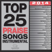 Top 25 Praise Songs Instrumental 2014 artwork