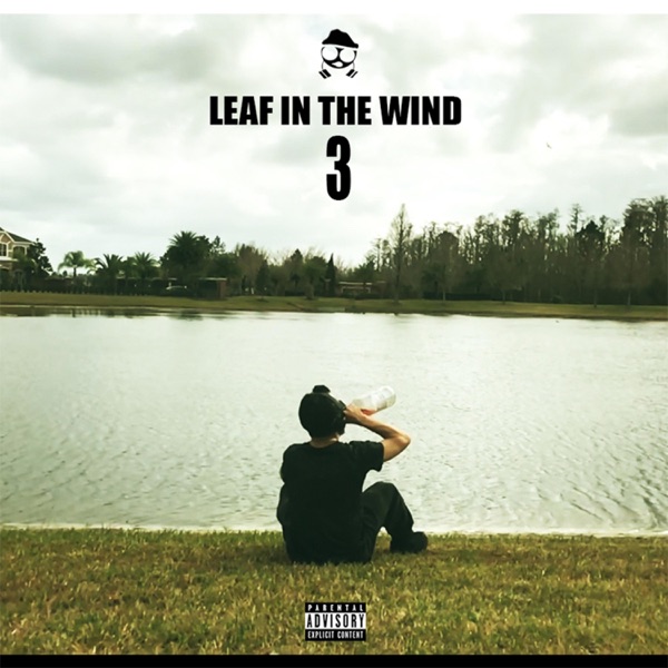 Leaf in the Wind 3