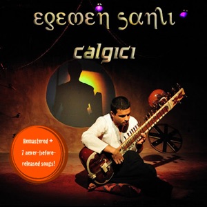 Çalgıcı