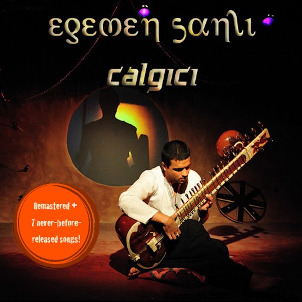 Çalgıcı