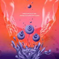 Planet Hunters — Himalayan Dalai Lama