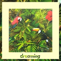 Dreaming - linanthem