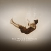 The Wood Brothers - Strange as It Seems