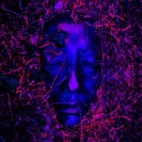 Pulse (feat. Faith) - Single - Suspendednotes