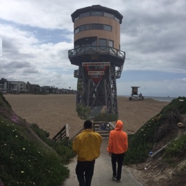 To Plants Box Dreams