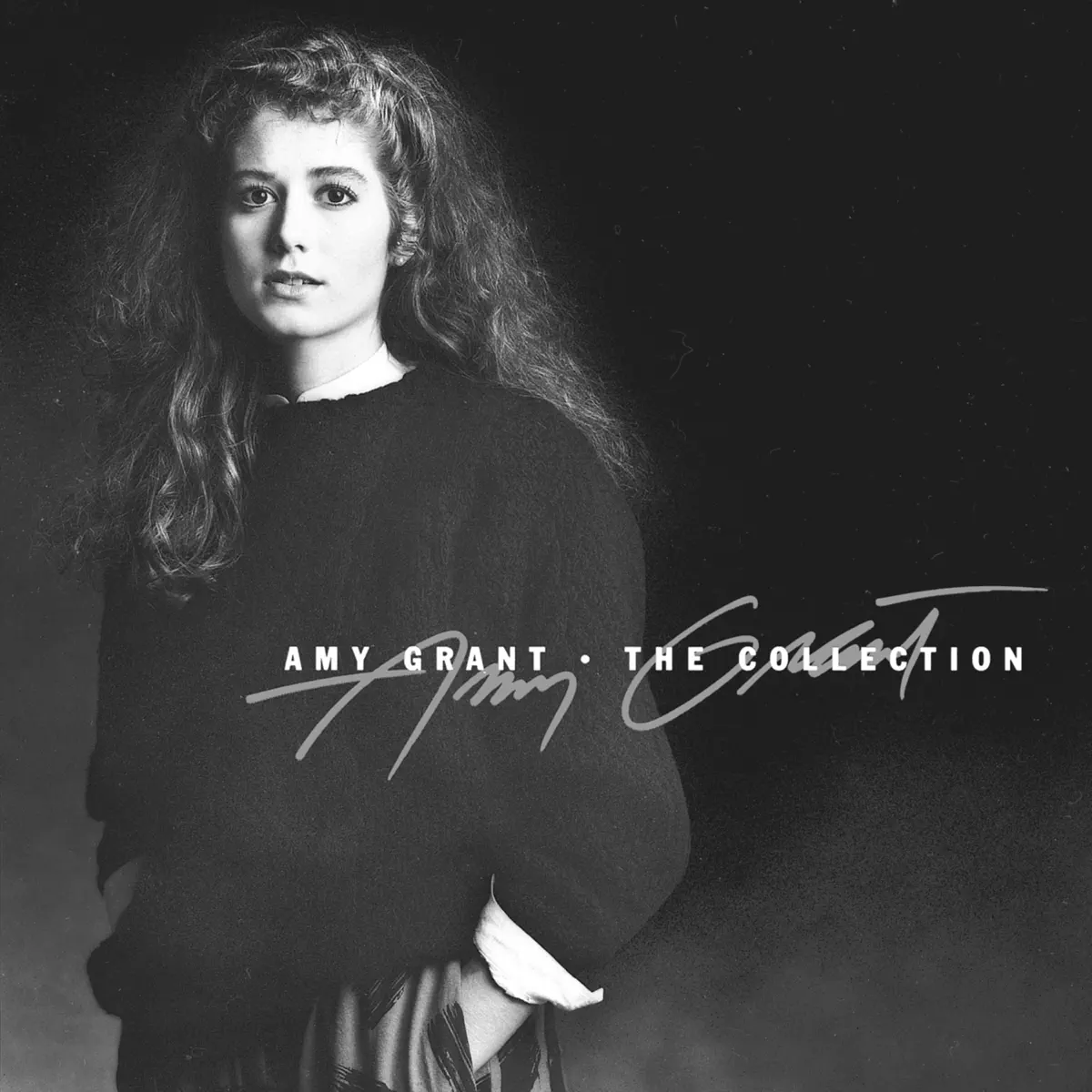 Amy Grant - The Collection (1986) [iTunes Plus AAC M4A]-新房子