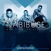 Nabibuse — New Chapter Africa
