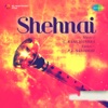 Shehnai