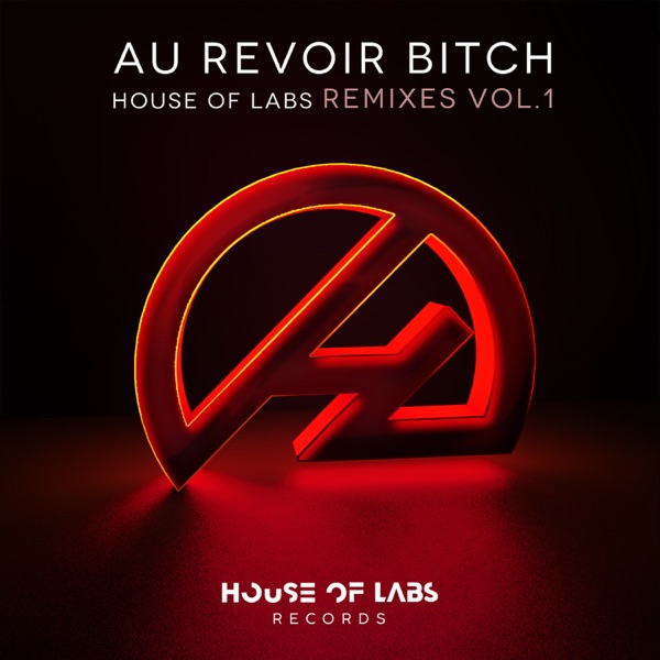 Au Revoir Bitch (Remixes Vol. 1) - Single