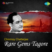 Rare Gems Tagore - Chinmoy Chatterjee