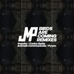 Birds Are Coming - Remixes - EP - DJ JMP Birds Are Coming - Remixes - EP - DJ JMP