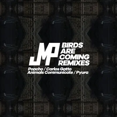 Birds Are Coming - Remixes - EP - DJ JMP