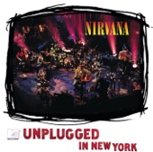 MTV Unplugged In New York (Live) artwork