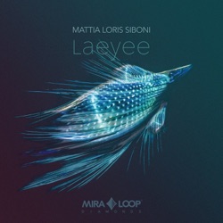 Mattia Loris Siboni - Duntra