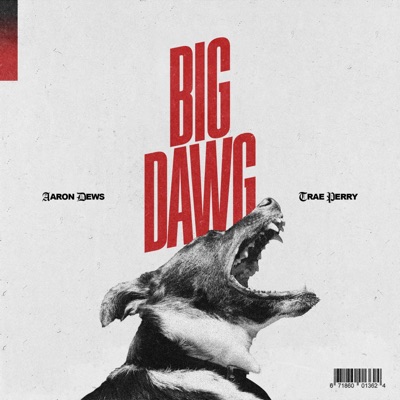 Big Dawg (feat. Trae Perry) - Single