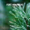 Fort Arkansas