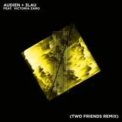 Hot Water (Two Friends Remix) [feat. Victoria Zaro] - Single - 3LAU