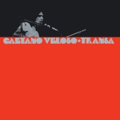 Caetano Veloso - It's a Long Way